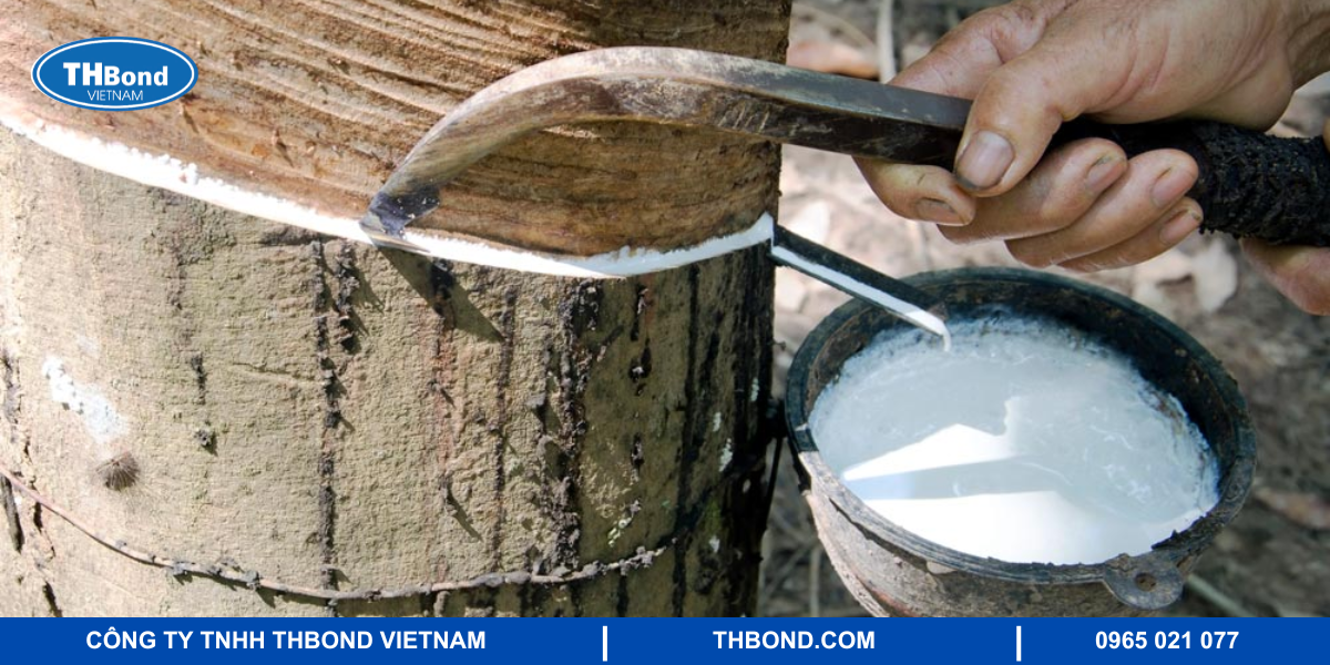 Cao su tự nhiên Natural Rubber