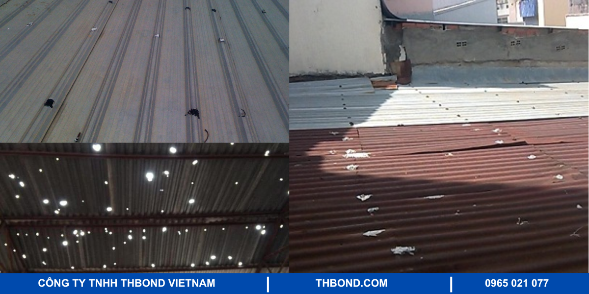Hình ảnh mái tôn bị dột