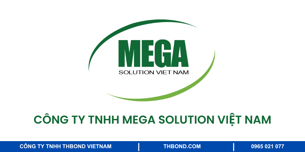 Công ty TNHH Mega Solution Việt Nam