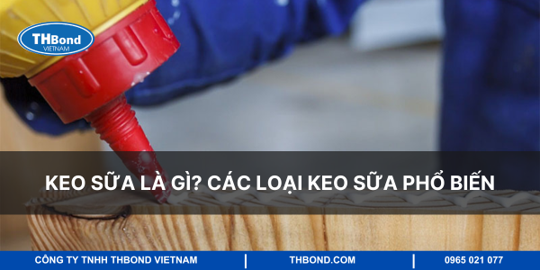 Keo sữa là gì? Các loại keo sữa phổ biến