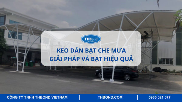 keo-dan-bat-che-mua-giai-phap-va-bat-nhanh-chong-hieu-qua