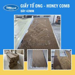 Giấy tổ ong làm cửa dày 43mm