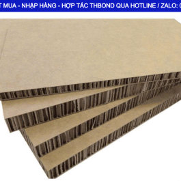 Lõi giấy tổ ong THBond được sử dụng trong kết cấu cửa thép vân gỗ và cửa kim loại, vách, bao bì, pallet, đóng gói…