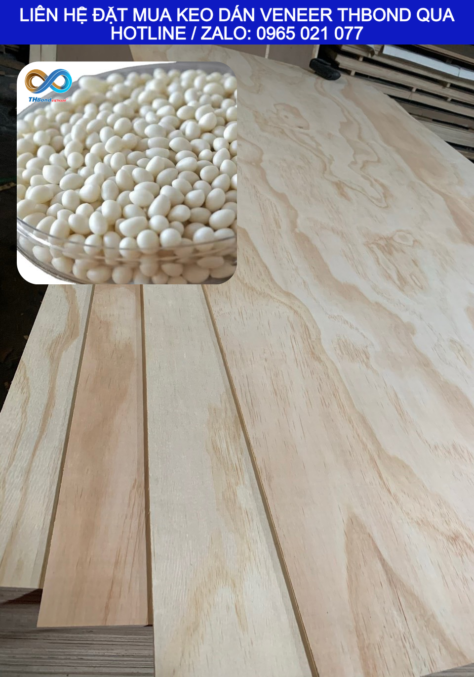 Từ MDF đến HDF, MFC và ván công nghiệp – THBond cung ứng Keo Hạt phục vụ nhiều nền vật liệu gỗ kết hợp cùng Veneer