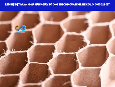 Giấy tổ ong thanh THBond có cấu trúc ô lục giác sau khi mở, phù hợp bố trí bên trong cánh cửa, cấu kiện