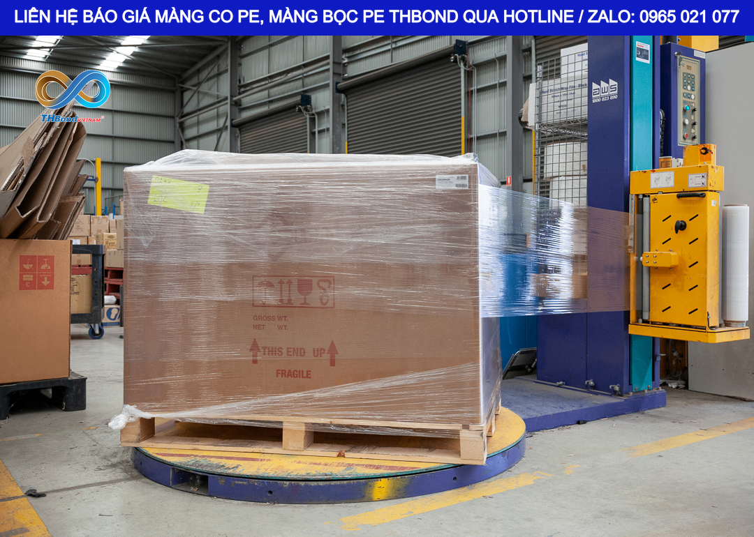 Màng PE THBond có thể đáp ứng đồng thời phiên bản trơn (không in logo) hoặc in thương hiệu theo nhu cầu thực tế của doanh nghiệp