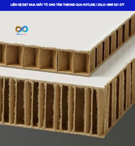 Giấy tổ ong tấm GTO558 của THBond – lựa chọn vật liệu lõi cho các kết cấu dạng tấm phù hợp.