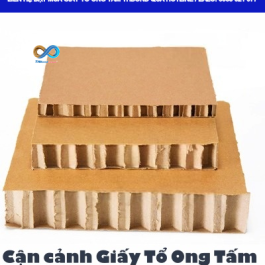 Giấy tổ ong tấm THBond được sử dụng làm lõi cửa gỗ công nghiệp theo kết cấu thiết kế.