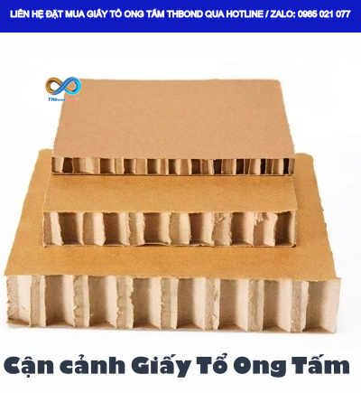 Giấy tổ ong tấm THBond được sử dụng làm lõi cửa gỗ công nghiệp theo kết cấu thiết kế.