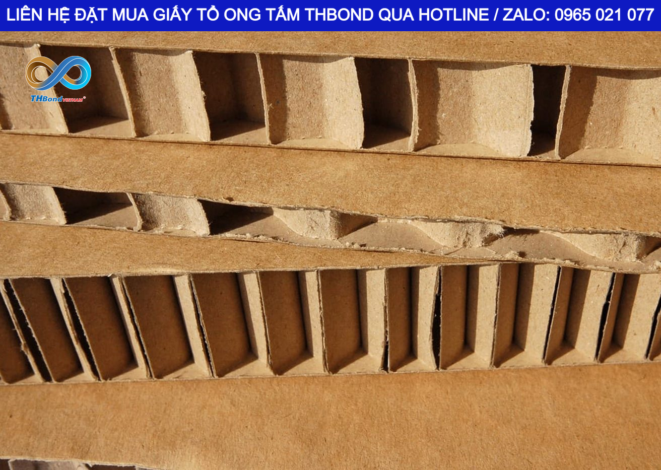 THBond cung ứng giấy tổ ong dạng tấm và dạng lõi thanh phục vụ sản xuất cửa thép vân gỗ, cửa thép các loại, cửa nhựa, cửa gỗ