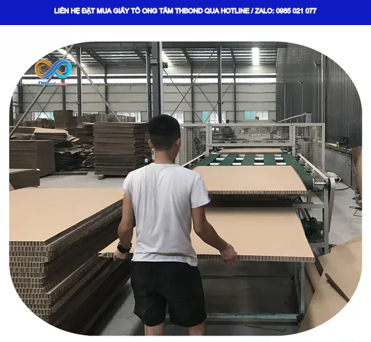 Giấy tổ ong tấm dày 30mm THBond GTO558 – vật liệu ứng dụng phổ biến trong các phương án gia công tấm theo thiết kế